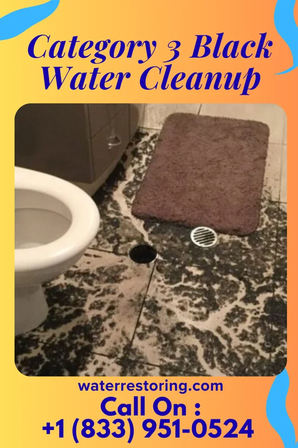 Category 3 Black Water Cleanup in Watova, OK