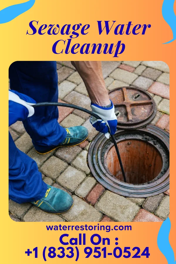 Sewage Water Cleanup in Watova, OK
